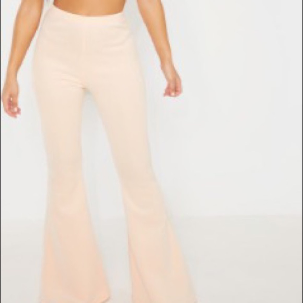 Blush scuba high wasted flare leg pants from plt